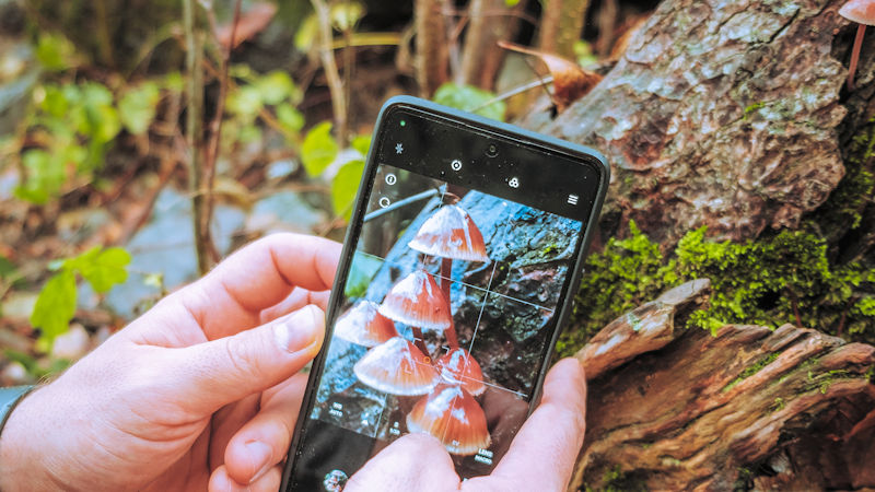 Shooting Macro with A Smartphone Camera